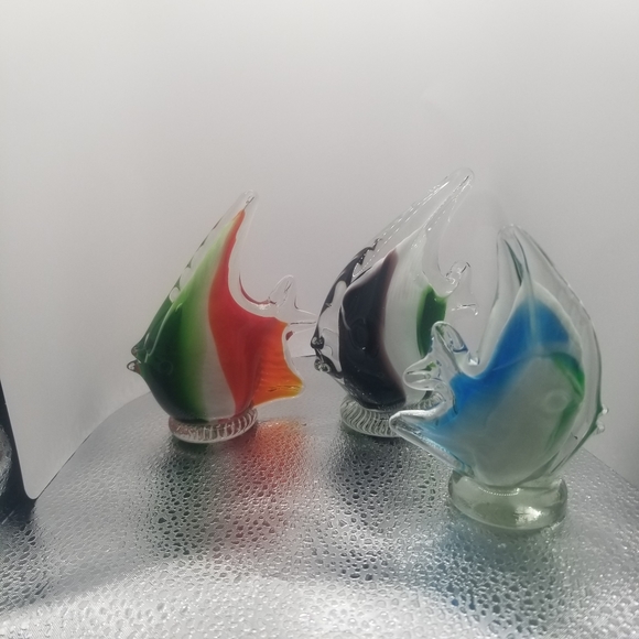 Glass fish - Picture 3 of 16